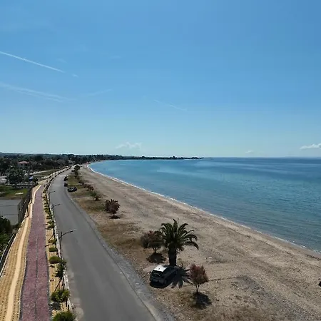 Summertime Just 90meters From The Sea!